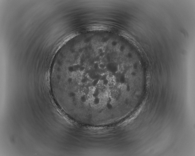 X0000113261121200909241517