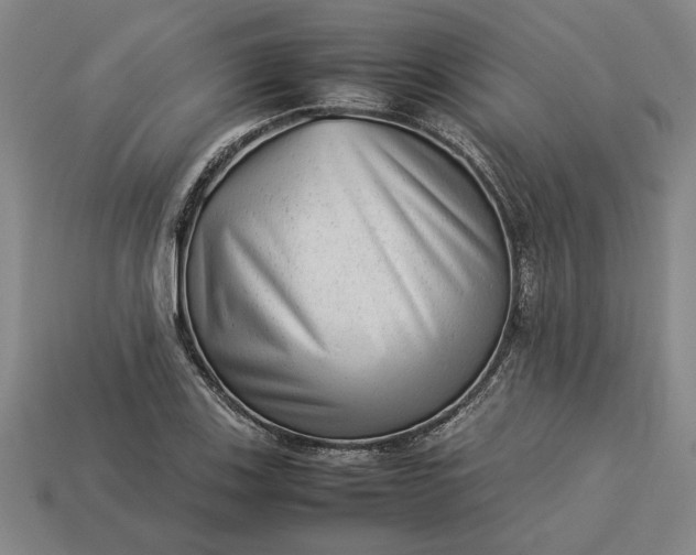 X0000113261123200909241517