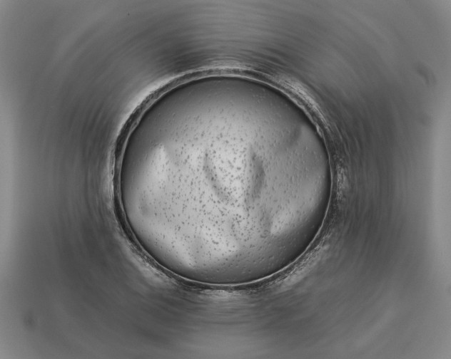 X0000113261124200909241517