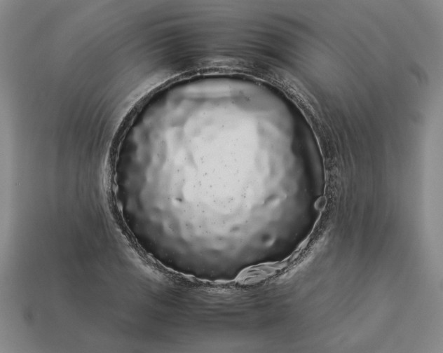 X0000113261125200909241517