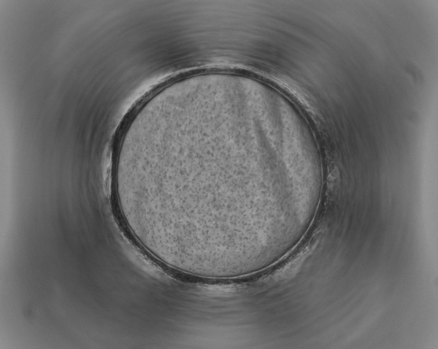 X0000113261126200909241517