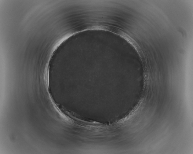 X0000113261127200909241517