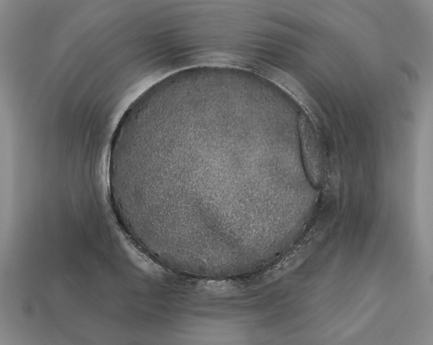 X0000113261128200909241517