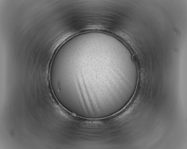 X0000113261129200909241517