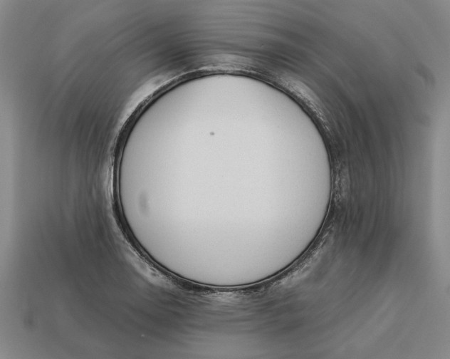 X0000113261130200909241517