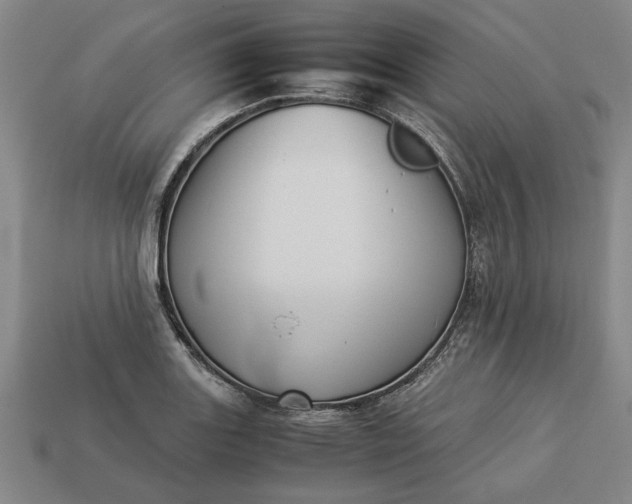 X0000113261131200909241517