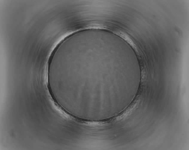 X0000113261132200909241517