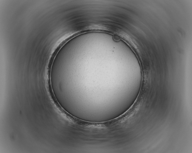 X0000113261133200909241517