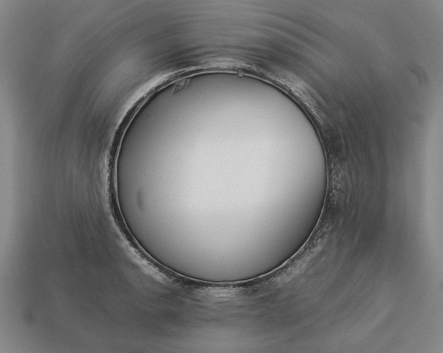 X0000113261134200909241517