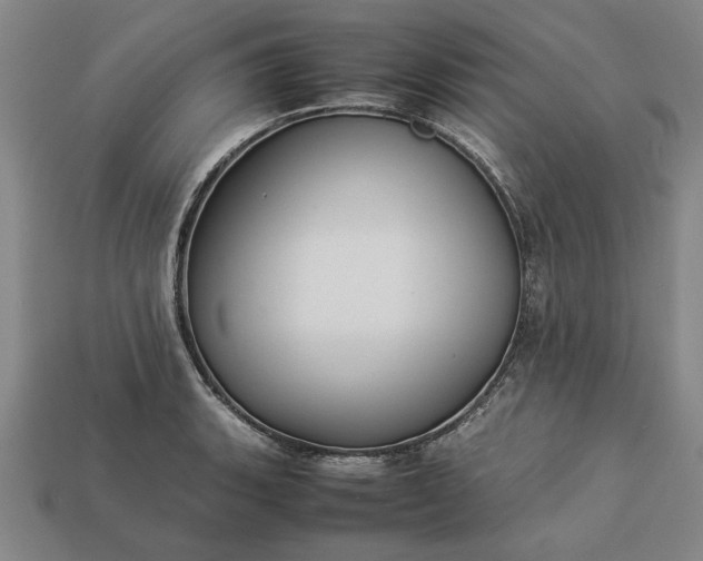 X0000113261135200909241517