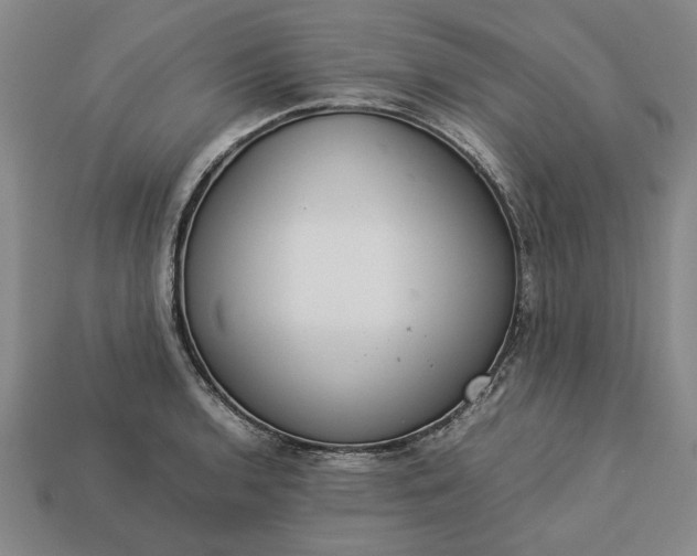 X0000113261136200909241517