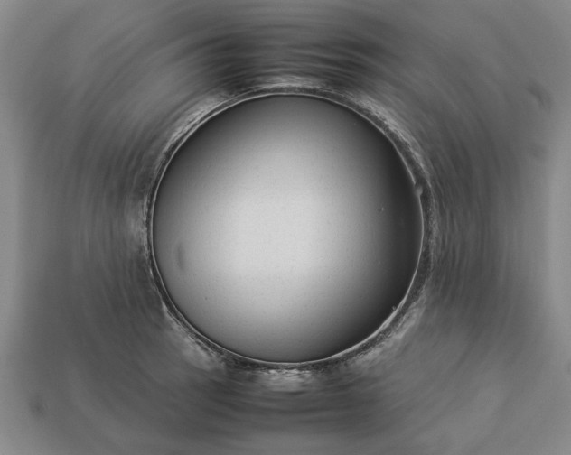 X0000113261137200909241517