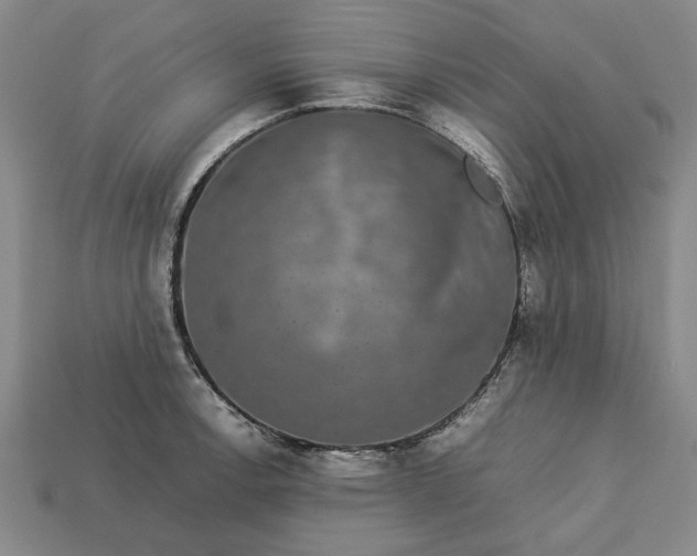 X0000113261138200909241517