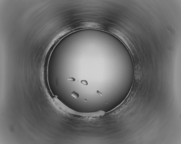 X0000113261139200909241517