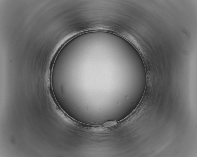 X0000113261140200909241517