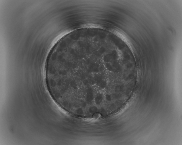 X0000113261141200909241517