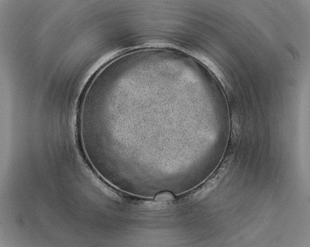 X0000113261142200909241517