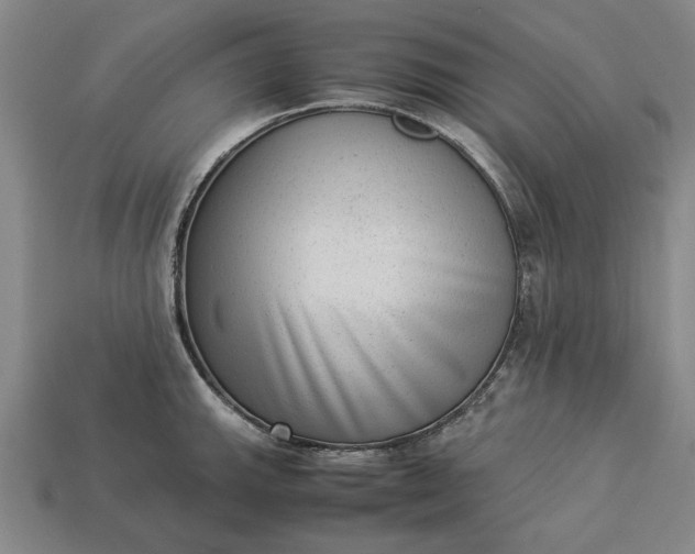 X0000113261143200909241517