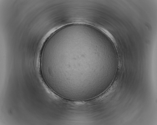 X0000113261144200909241517