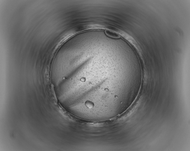 X0000113261145200909241517