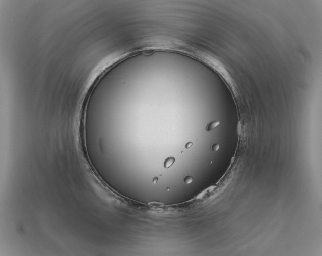 X0000113261146200909241517