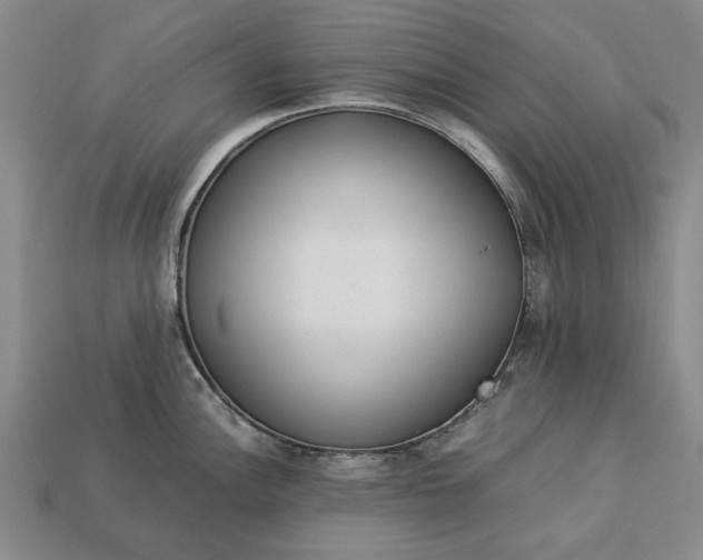 X0000113261148200909241517