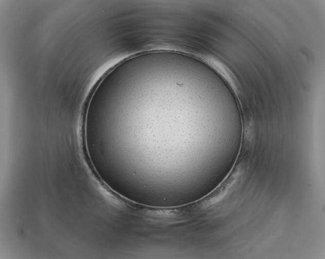 X0000113261149200909241517