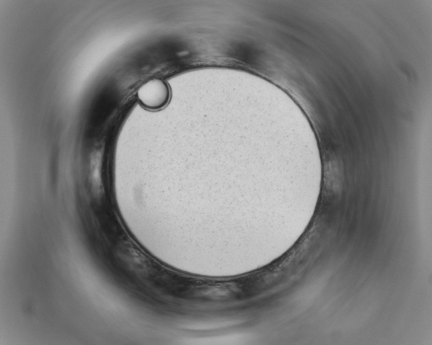 X0000113261150200909241517