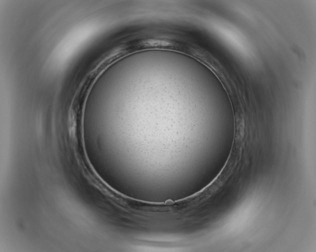 X0000113261151200909241517