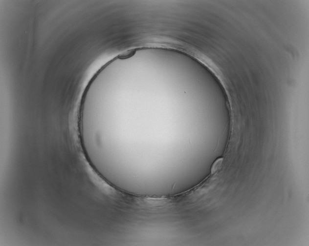 X0000113261152200909241517