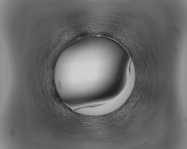 X0000113261153200909241516