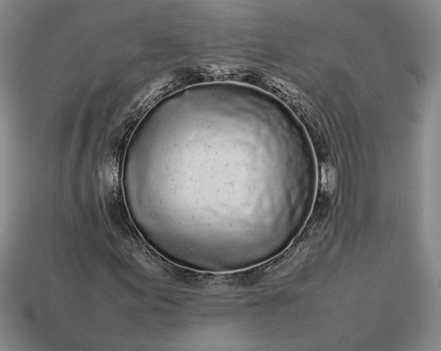 X0000113261155200909241516