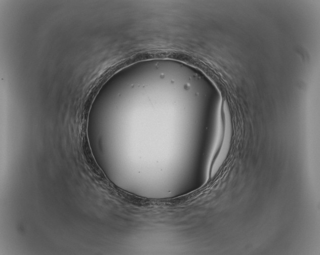 X0000113261157200909241516