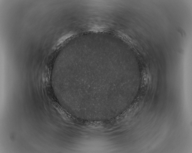 X0000113261158200909241516