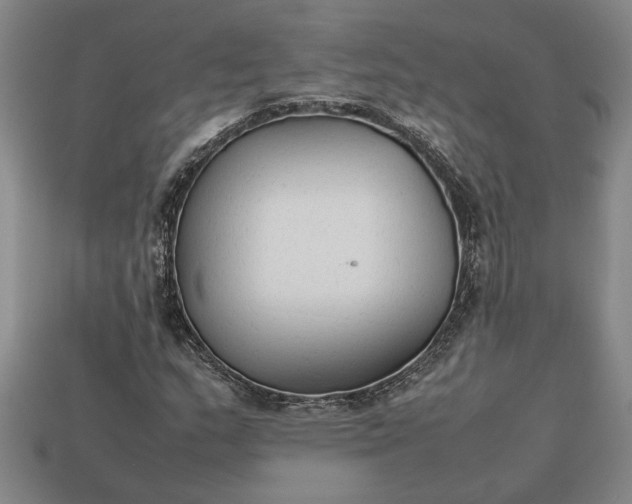 X0000113261159200909241516