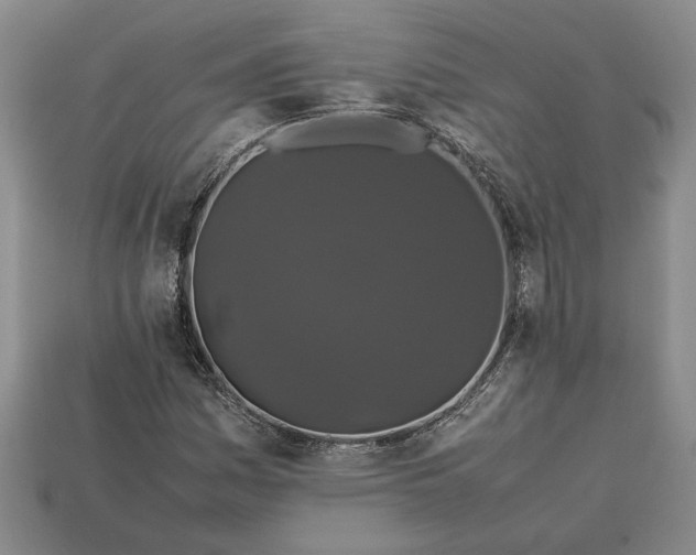 X0000113261161200909241516