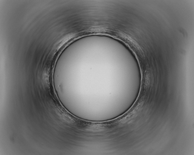 X0000113261162200909241516