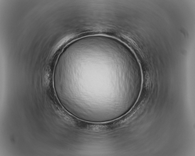 X0000113261163200909241516