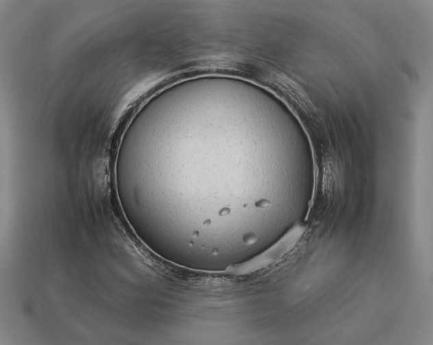 X0000113261164200909241516