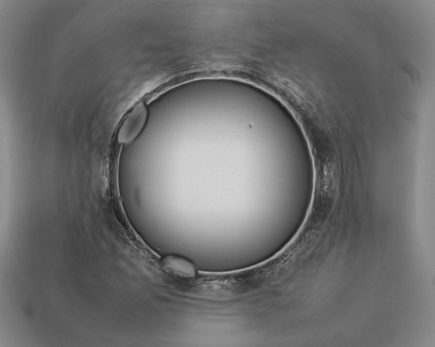 X0000113261165200909241516