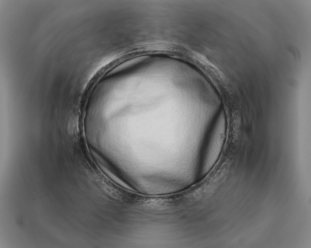 X0000113261166200909241516