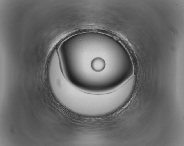 X0000113261167200909241516