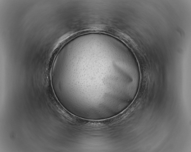 X0000113261168200909241516