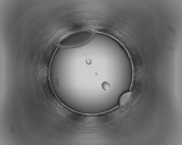 X0000113261169200909241516