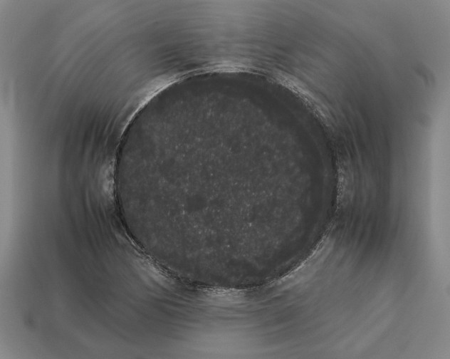 X0000113261170200909241516