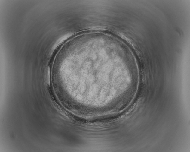 X0000113261171200909241516