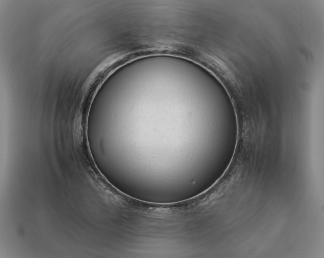 X0000113261172200909241516