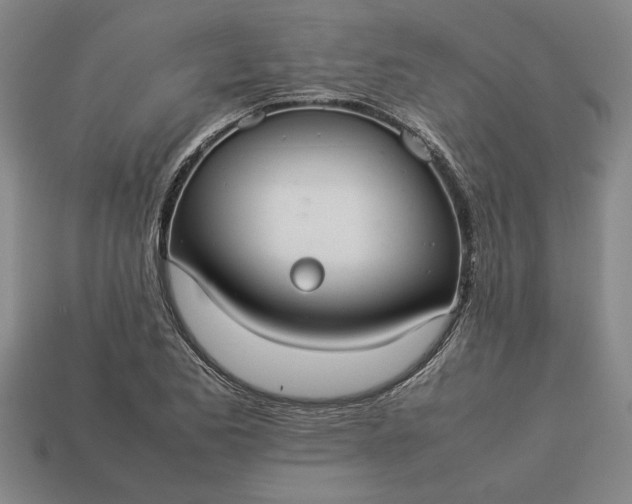 X0000113261173200909241516