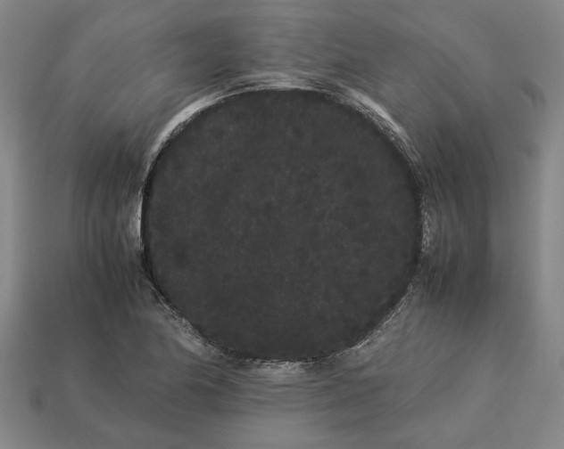 X0000113261174200909241516