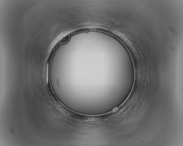 X0000113261175200909241516